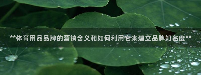 尊龙凯时美金能提取吗：**体育用品品牌的营销含义和如