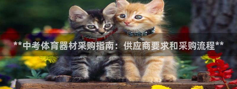尊龙百度百科：**中考体育器材采购指南：供应商要求和