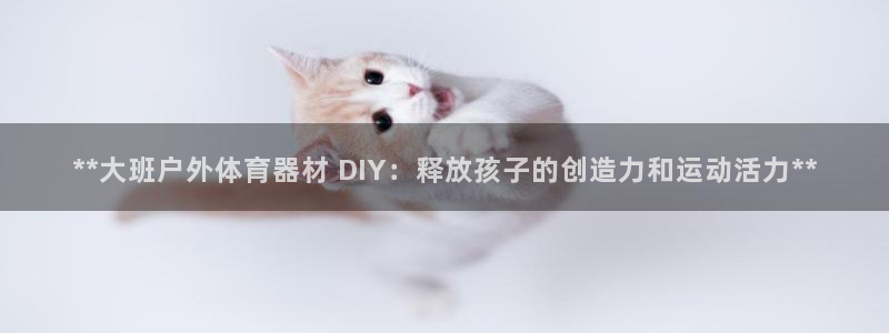 kb88凯时会员登录：**大班户外体育器材 DIY：