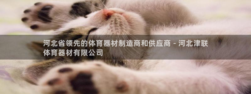 尊龙凯时ag旗舰厅：河北省领先的体育器材制造商和供应