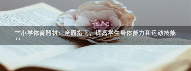 凯时k66登录：**小学体育器材：全面指南，提高学生