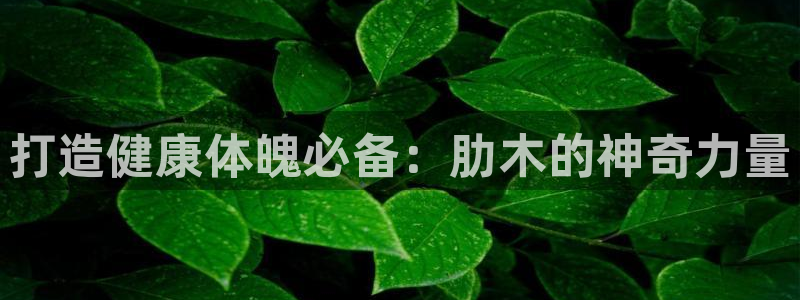 凯时效果怎么样：打造健康体魄必备：肋木的神奇力量