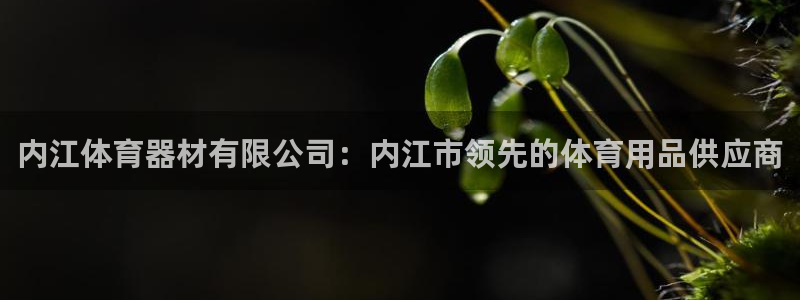 尊龙d88现金可来就送38：内江体育器材有限公司：内
