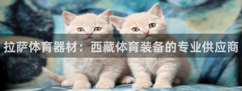 凯时k8官网首页：拉萨体育器材：西藏体育装备的专业供