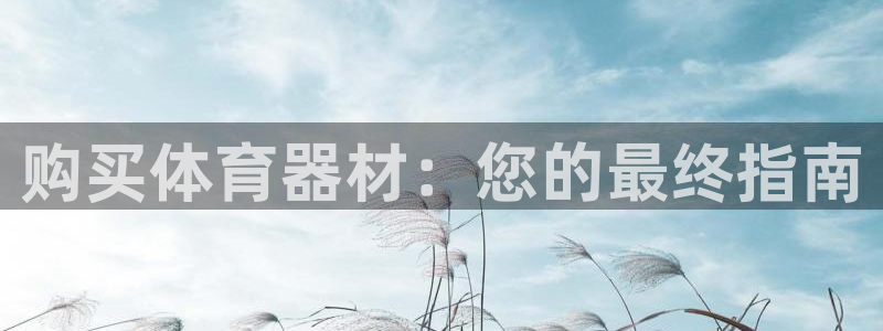尊龙官网免费下载安装：购买体育器材：您的最终指南