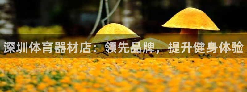 尊龙凯时家居是品牌吗：深圳体育器材店：领先品牌，提升