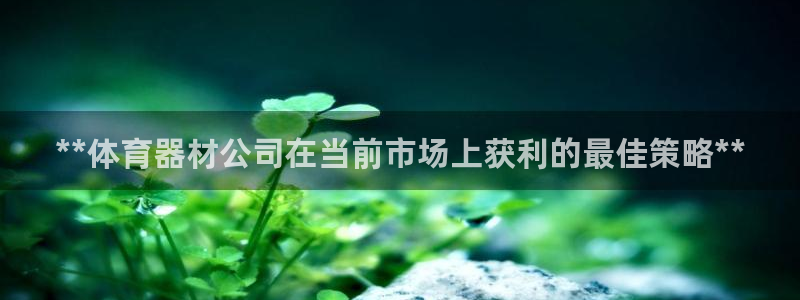 尊龙am i blue：**体育器材公司在当前市场上