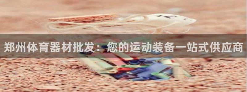 尊龙凯时白家乐Abb下载：郑州体育器材批发：您的运动
