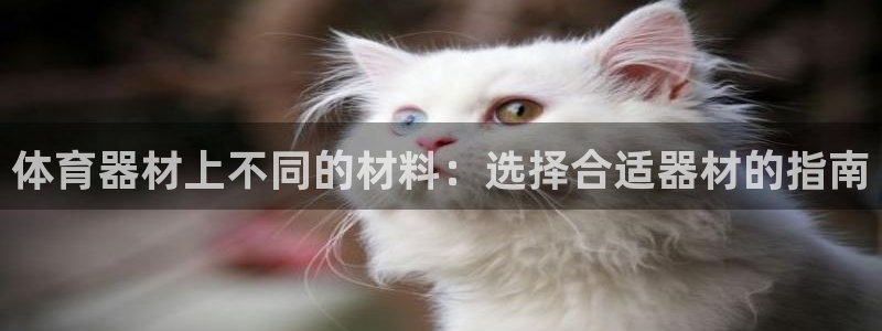 尊龙D88现金旧版：体育器材上不同的材料：选择合适器