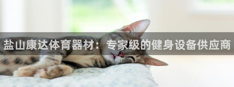 凯时游戏官方网站：盐山康达体育器材：专家级的健身设备