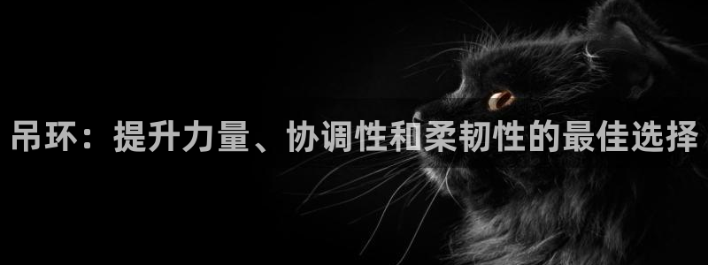 尊龙网站 人生就是博：吊环：提升力量、协调性和柔韧性