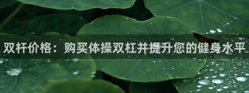 尊龙ag：双杆价格：购买体操双杠并提升您的健身水平