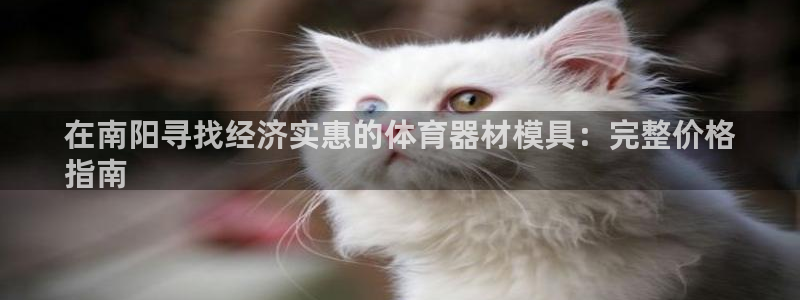尊龙一人生就是博尊：在南阳寻找经济实惠的体育器材模具