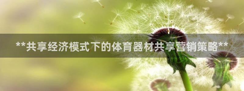 尊龙人生就是博菲律宾台子：**共享经济模式下的体育器