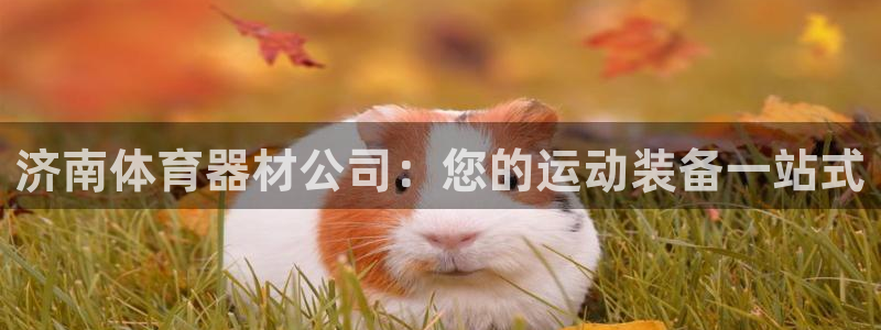 尊龙凯时返现：济南体育器材公司：您的运动装备一站式