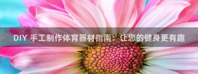 尊龙凯时干什么的：DIY 手工制作体育器材指南：让您