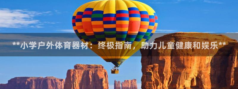 尊龙人生就是博旗舰厅：**小学户外体育器材：终极指南