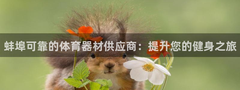 KB88凯时官网登录：蚌埠可靠的体育器材供应商：提升
