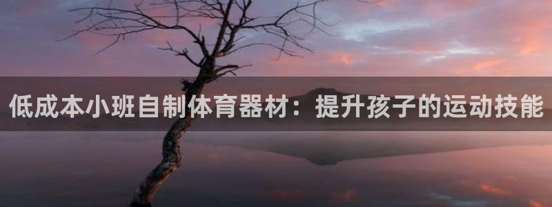 尊龙凯时官网版登录：低成本小班自制体育器材：提升孩子