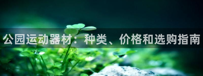尊龙人生就是博一下下：公园运动器材：种类、价格和选购