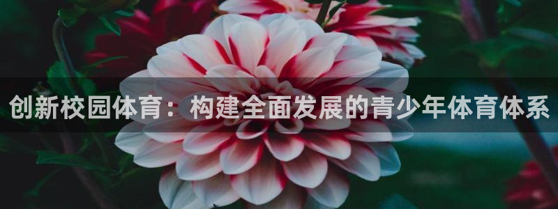 尊龙凯时出款