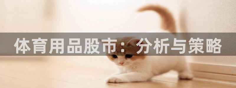 Z6尊龙凯时官方