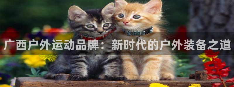 尊龙人生就是博旗舰厅