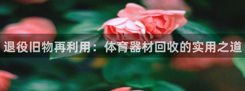尊龙凯时网