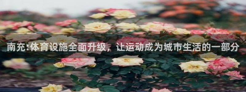 凯时官网手机版下载