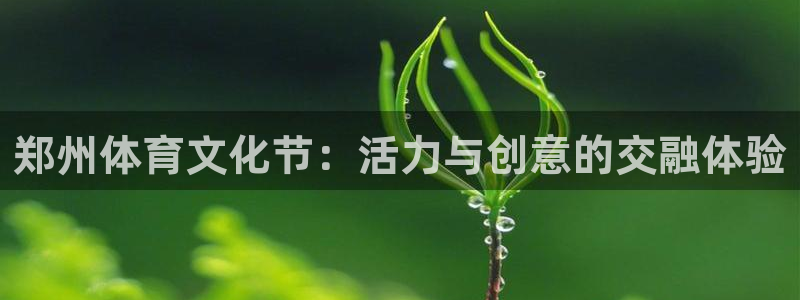 尊龙凯时只输不赢