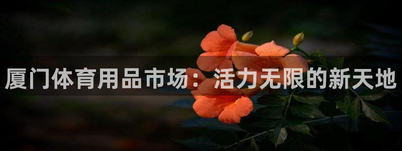 尊龙凯时为什么输了钱