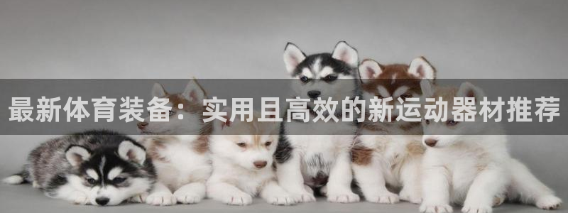 尊龙凯时最新平台登陆