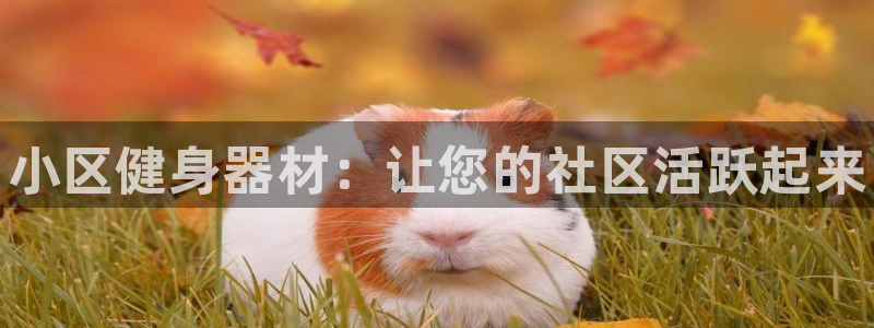 尊龙一人生就是博尊：小区健身器材：让您的社区活跃起来