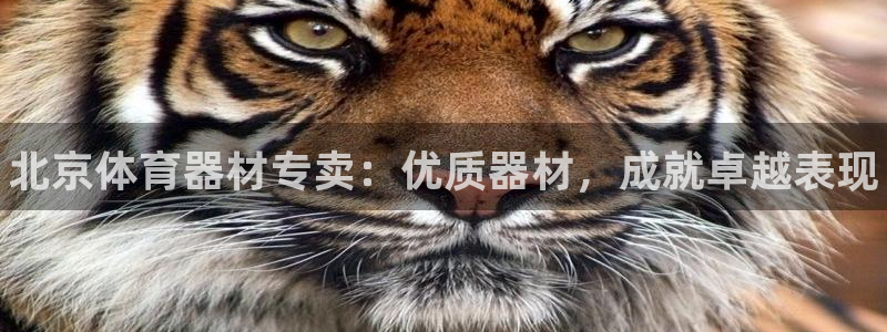 尊龙凯时人生就是搏官方网站：北京体育器材专卖：优质器