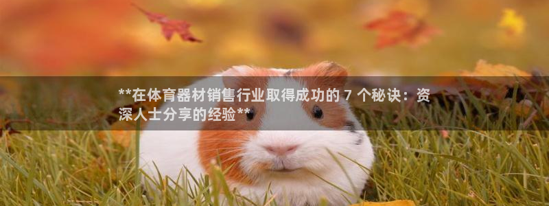 ZL尊龙凯时平台：**在体育器材销售行业取得成功的 