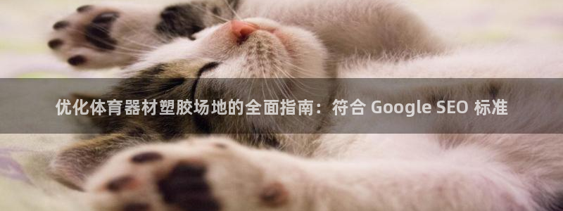 尊龙官方网址：优化体育器材塑胶场地的全面指南：符合 Goog