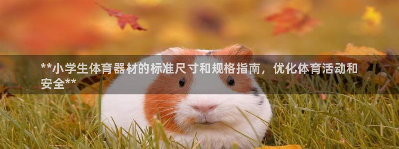凯时国际app首页：**小学生体育器材的标准尺寸和规