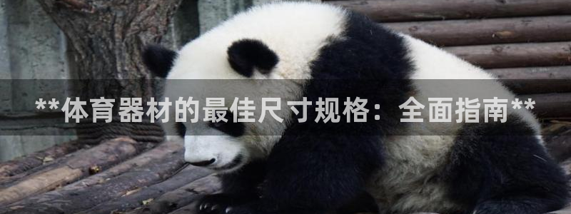 尊龙d88官网登录：**体育器材的最佳尺寸规格：全面指南**